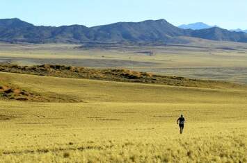 100 km of Namib Desert: Auf 4 Etappen durch das fasizinierende Namibia