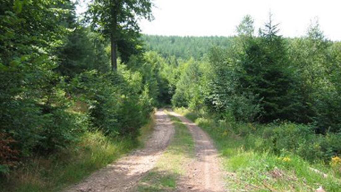 Bärenfels-Trail