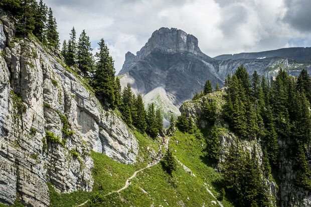 Beim Eiger Ultra Trail ist Ihre Ausdauer auf allen Strecken gefordert. Doch mit dem fantastischen Panorama mit Blick auf den Eiger genießen Sie das.