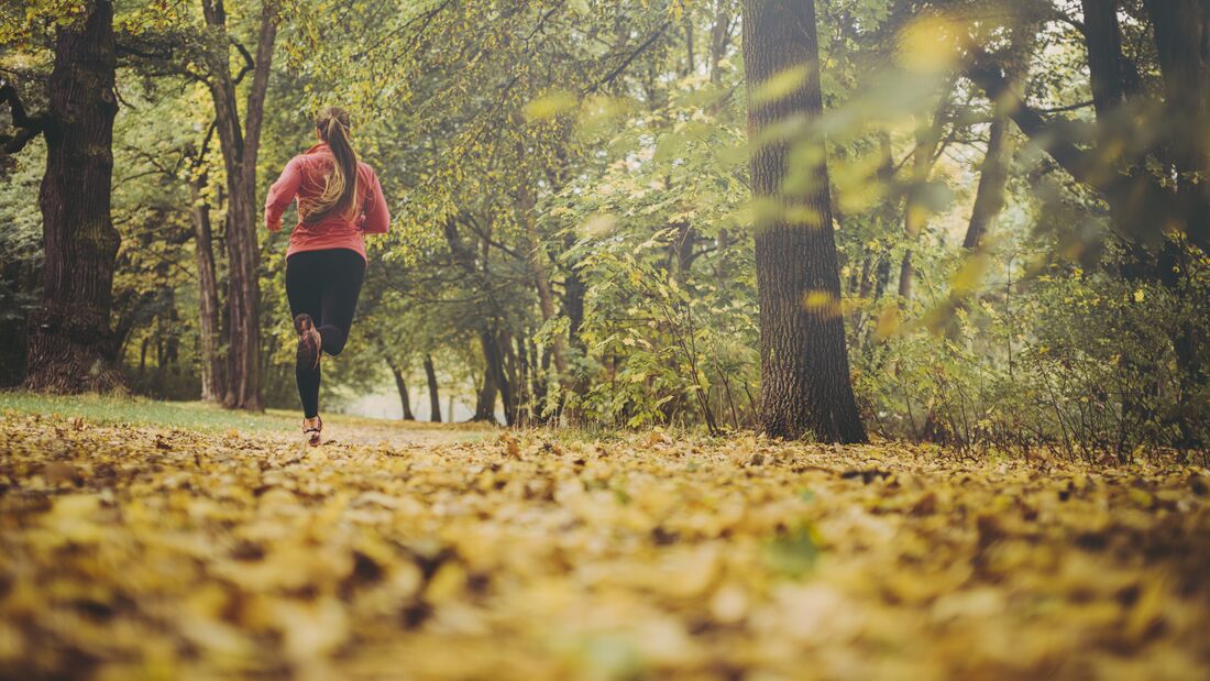 Beim Laufen in der Natur kann man dem Stress davonlaufen.