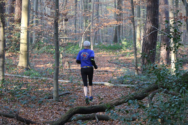 Bonner Herbsthalbmarathon 2