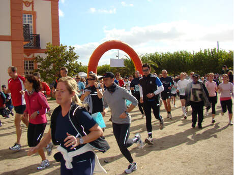 Charity Walk & Run Wiesbaden