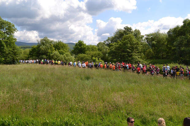 Das Starterfeld beim Harzer Keiler Run
