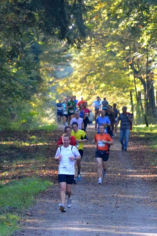 Der Refrather Herbstlauf führt durch den Königsforst.