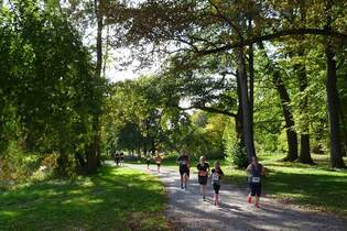 Der Spargel-Lauf führt durch den Burgdorfer Stadtpark.