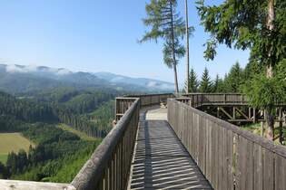 Der Wipfelwanderweglauf in St. Margarethen macht seinem Namen alle Ehre.