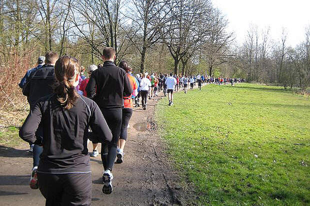 Die Wandsetaler Runde führt durch den Eichtalpark