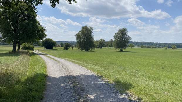 Die markierte Strecke führt durch welliges, offenes Gelände ...