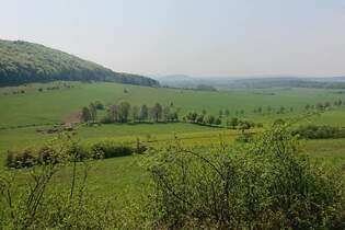 Dreienberg-Panoramalauf Friedewald: Idyllische Landschaften rund um den Dreienberg