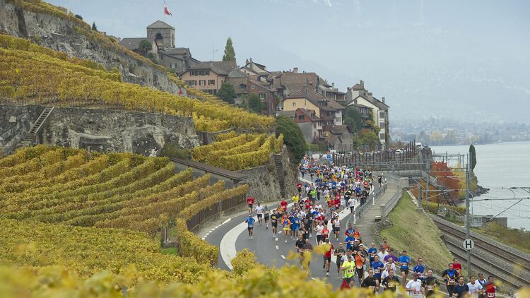 Dutzende Teilnehmende am Lausanne-Marathon laufen entlang der Serpentinen zwischen Weinbergen und dem Genfer See.