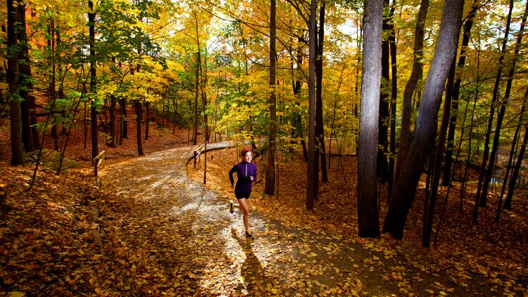 Ein Lauf im Herbst ist meist auch ein optisches Erlebnis. 