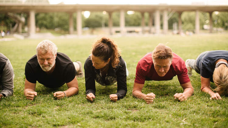 Eine Gruppe trainiert auf dem Rasen die Plank. Training der Rumpfmuskulatur mit dem Unterarmstütz.
