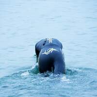 Frankfurt City Triathlon 2021