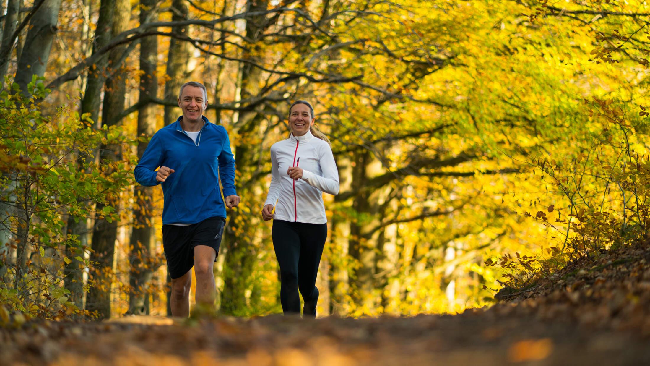 Free gut shop zum joggen