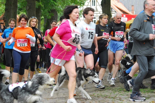 Ginsenglauf Walsrode 460-2