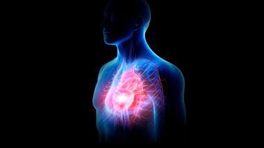 Herzmuskelentzündung (Myokarditis) bei Sportlern