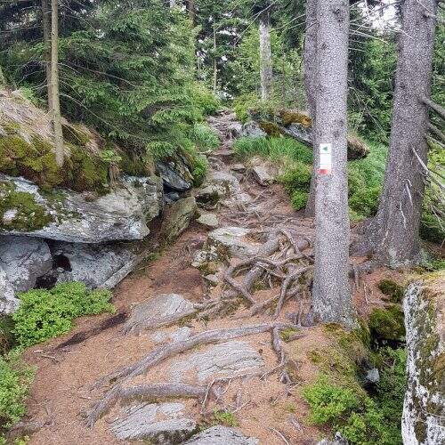 Kaitersbergtrail Bad Kötzting 2019