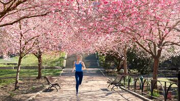 Läuferin in einem Park unter blühenden Bäumen