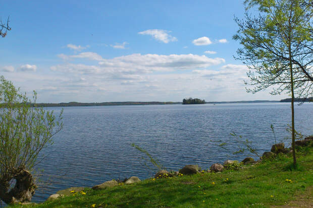 Lauf um den Plöner See und Marathon