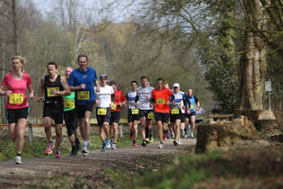 Lohner Marathon Strecke
