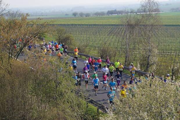 Marathon Deutsche Weinstrasse Bockenheim Runner S World