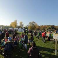 Martinslauf Düsseldorf 2019