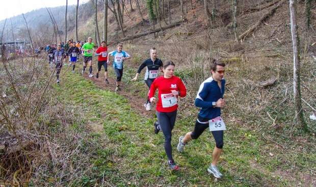 Neckar Center Off Road Run 2013