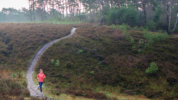 Nele in der Heide
