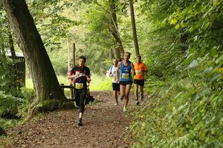 Pfälzer Wald Marathon 2015