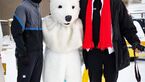 Polar Bear-Marathon Churchill  2019