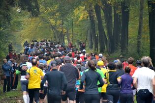 Refrather Herbstlauf: Über 600 Läufer aus dem ganzen Rheinland an der Schutzhütte „Am Dicken Stock“ erwartet.