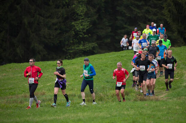 Rennsteiglauf 2015