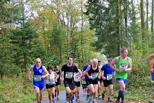 Rothaarsteig-Marathon 2014