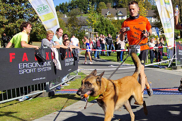 Rothaarsteig-Marathon 2014