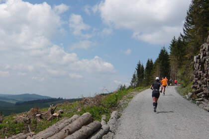Rothaarsteiglauf