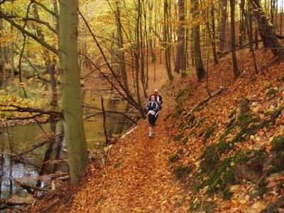 Schlaubetal Marathon