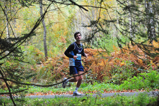 Schwarzwald-Marathon Bräunlingen Strecke