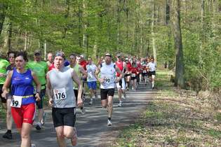 Skiwiesen-Lauf 2014