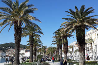 Split-Halbmarathon: Mediterranes Flair in Split