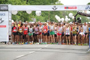 Stockholm-Marathon Start 2013