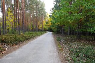 Strecke beim Třeboň-Marathon
