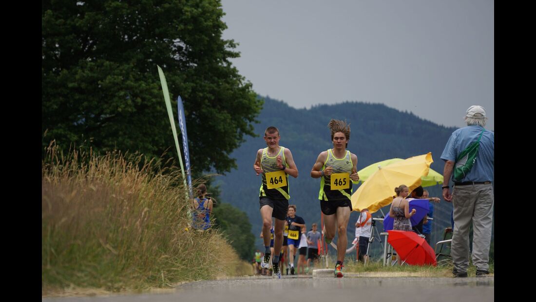 StruxBio Sommerlauf Gengenbach 2021