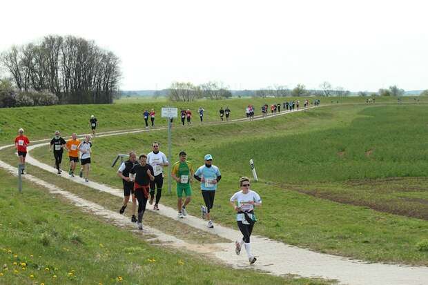 Tangermünder Elbdeichmarathon 2013 1
