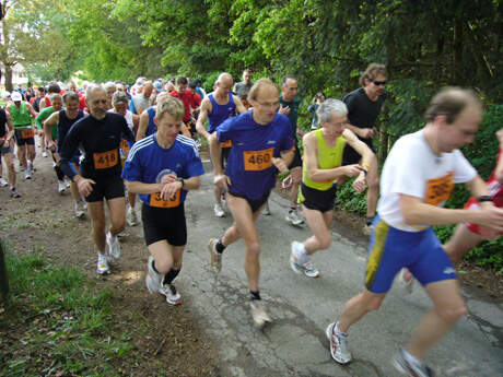 Teutoburger-Wald-Marathon