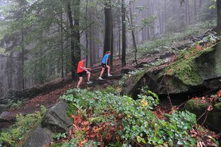 Trail-Marathon Heidelberg