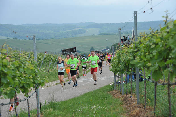 Trollinger-Marathon Heilbronn
