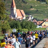 Wachau-Marathon 2019