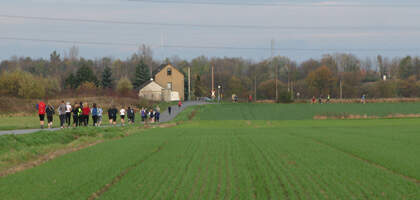 Werler Straßenlauf