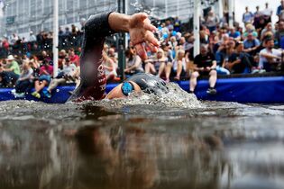 World Triathlon Hamburg 2017 Schwimmstart