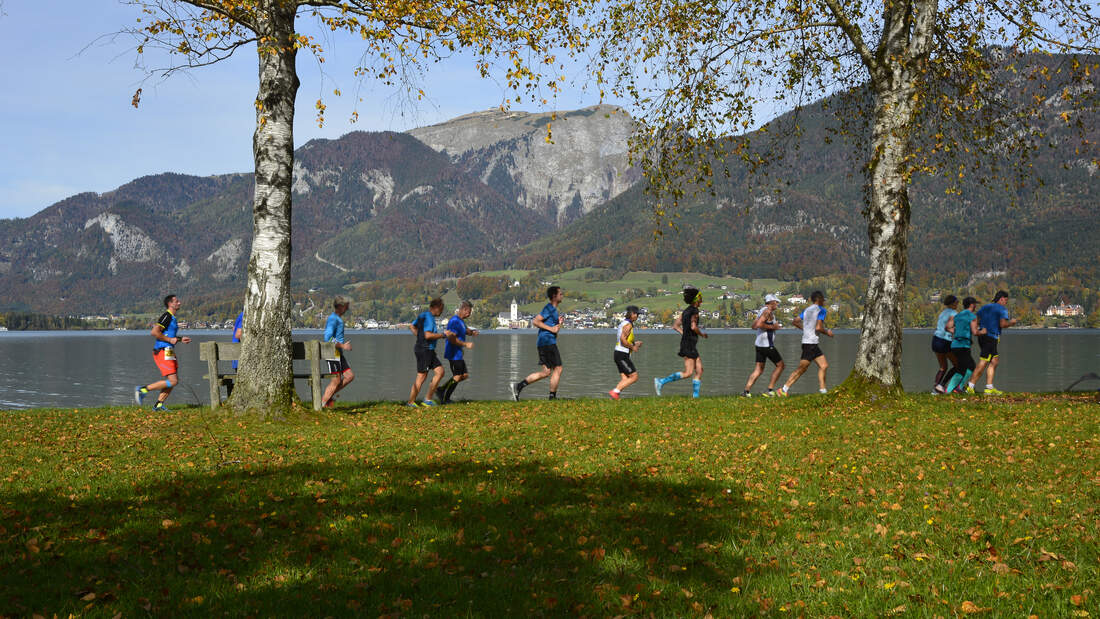 Les plus beaux demi-marathons d'Autriche